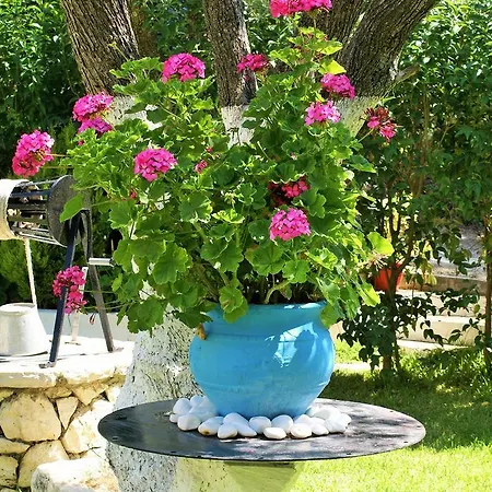 Grammatoula Apart Otel 3*