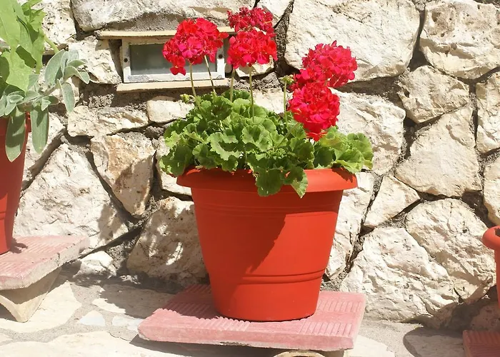 Aparthotel Grammatoula 3*